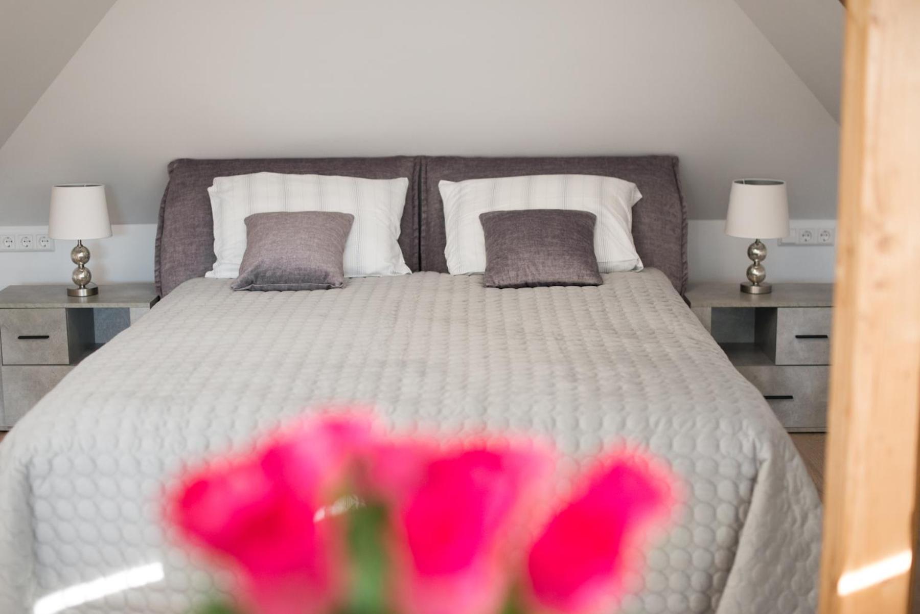 Petro Delux Apartments Kaunas Eksteriør bilde